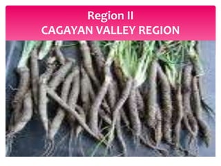 Region II
CAGAYAN VALLEY REGION
 