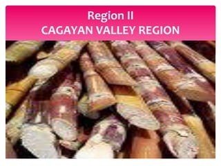 Region II
CAGAYAN VALLEY REGION
 