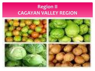 Region II
CAGAYAN VALLEY REGION
 