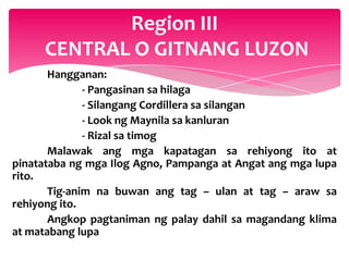 Region III
     CENTRAL O GITNANG LUZON
       Hangganan:
              - Pangasinan sa hilaga
              - Silangang Cordillera sa silangan
              - Look ng Maynila sa kanluran
              - Rizal sa timog
       Malawak ang mga kapatagan sa rehiyong ito at
pinatataba ng mga Ilog Agno, Pampanga at Angat ang mga lupa
rito.
       Tig-anim na buwan ang tag – ulan at tag – araw sa
rehiyong ito.
       Angkop pagtaniman ng palay dahil sa magandang klima
at matabang lupa
 