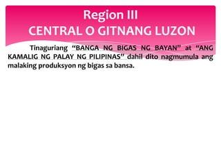 Region III
     CENTRAL O GITNANG LUZON
      Tinaguriang “BANGA NG BIGAS NG BAYAN” at “ANG
KAMALIG NG PALAY NG PILIPINAS” dahil dito nagmumula ang
malaking produksyon ng bigas sa bansa.
 