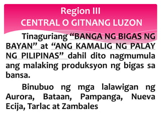 Region III
   CENTRAL O GITNANG LUZON
     Tinaguriang “BANGA NG BIGAS NG
BAYAN” at “ANG KAMALIG NG PALAY
NG PILIPINAS” dahil dito nagmumula
ang malaking produksyon ng bigas sa
bansa.
     Binubuo ng mga lalawigan ng
Aurora, Bataan, Pampanga, Nueva
Ecija, Tarlac at Zambales
 