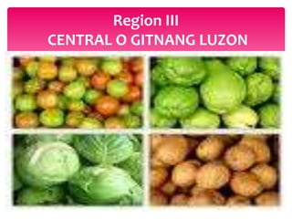 Region III
CENTRAL O GITNANG LUZON
 
