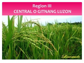 Region III
CENTRAL O GITNANG LUZON
 