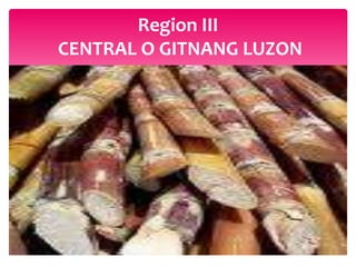 Region III
CENTRAL O GITNANG LUZON
 
