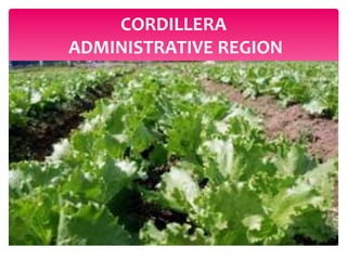 CORDILLERA
ADMINISTRATIVE REGION
 