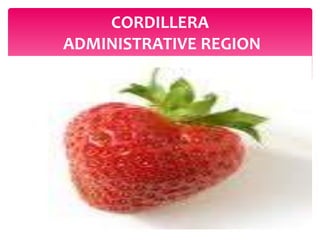 CORDILLERA
ADMINISTRATIVE REGION
 