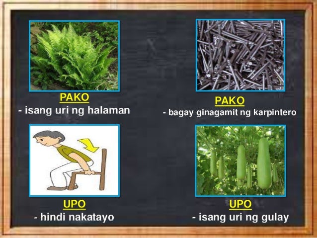Mga Salitang Magkapareho Ang Kahulugan Iisang Baybay | Jewelry Art