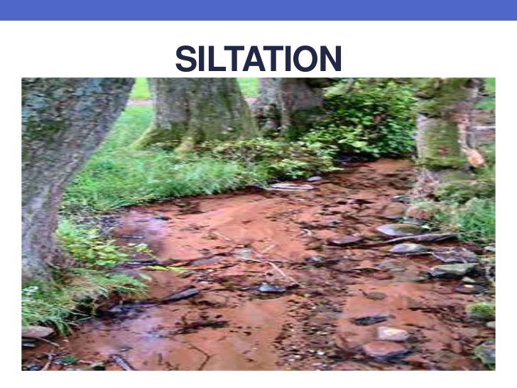 Mga suliraning pangkapaligiran at kalagayang ekolohikal ng asya