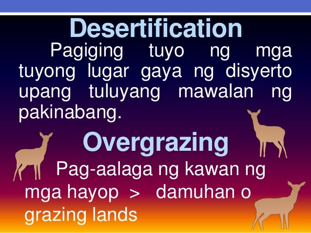 effects of kaingin system This material is available primarily for archival purposes telephone numbers or other contact information may be out of date please see current contact information at media contacts loss of biodiversity appears to affect ecosystems as much as climate change, pollution and other major forms of. effects of kaingin system This material is available primarily for archival purposes telephone numbers or other contact information may be out of date please see current contact information at media contacts loss of biodiversity appears to affect ecosystems as much as climate change, pollution and other major forms of.
