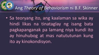 Ang Theory of Behaviorism ni B.F. Skinner
• Sa teoryang ito, ang kaalaman sa wika ay
hindi likas na tinataglay ng isang bata
pagkapanganak pa lamang niya kundi ito
ay hinuhubog at mas natututunan kung
ito ay kinokondisyon.
 