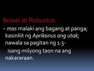 Boisei at Robustus
- mas malaki ang bagang at panga;
kasinliit ng Aprikanus ang utak;
nawala sa pagitan ng 1.5-
isang milyong taon na ang
nakararaan.
 