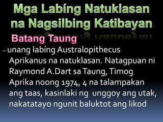 – unang labíng Australopithecus
Aprikanus na natuklasan. Natagpuan ni
Raymond A.Dart saTaung,Timog
Aprika noong 1974, 4 na talampakan
ang taas, kasinlaki ng unggoy ang utak,
nakatatayo ngunit baluktot ang likod
 