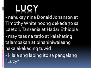 - nahukay nina Donald Johanson at
TimothyWhite noong dekada 70 sa
Laetoli,Tanzania at Hadar Ethiopia
- may taas na tatlo at kalahating
talampakan at pinaniniwalaang
nakalakakad ng tuwid
- kilala ang labing ito sa pangalang
“Lucy”
 