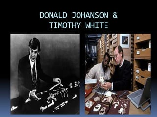 DONALD JOHANSON &
TIMOTHY WHITE
 