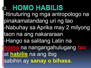 2.
-Itinuturing ng mga antropologo na
pinakamatandang uri ng tao
-Nabuhay sa Aprika may 2 milyong
taon na ang nakararaan
-Hango sa salitang Latin na
homo na nangangahulugang tao
at habilis na ang ibig
sabihin ay sanay o bihasa.
 