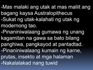 -Mas malaki ang utak at mas maliit ang
bagang kaysa Australopithecus
-Sukat ng utak-kalahati ng utak ng
modernong tao.
-Pinaniniwalaang gumawa ng unang
kagamitan na gawa sa bato bilang
panghiwa, pangkayod at pantadtad.
-Pinaniniwalaang kumain ng karne,
prutas, insekto at mga halaman
-Nakalalakad nang tuwid
 