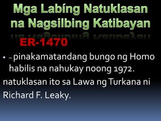  – pinakamatandang bungo ng Homo
habilis na nahukay noong 1972.
natuklasan ito sa Lawa ngTurkana ni
Richard F. Leaky.
ER-1470
 