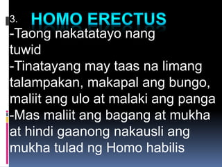 3.
-Taong nakatatayo nang
tuwid
-Tinatayang may taas na limang
talampakan, makapal ang bungo,
maliit ang ulo at malaki ang panga
-Mas maliit ang bagang at mukha
at hindi gaanong nakausli ang
mukha tulad ng Homo habilis
 