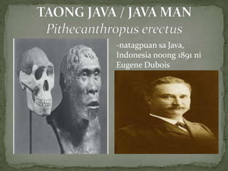 Taong Java