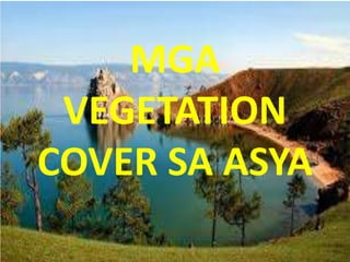 MGA
VEGETATION
COVER SA ASYA
 