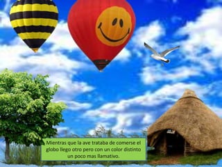 Mientras que la ave trataba de comerse el
globo llego otro pero con un color distinto
          un poco mas llamativo.
 