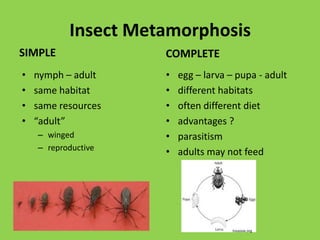 Basic anatomyHead: Sensory 
