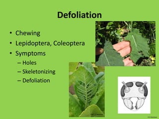 ReproductionArthropods:       Insects= 6 legsNon insect Arthropods: