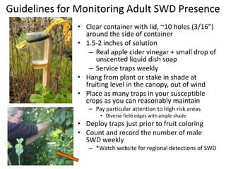 Cabbage seed weevilCucumber beetleColeoptera: Black vine weevilPotato flea beetleJames Young 2007