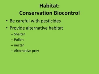 Social castes - colonies - queen, workers© Lucas Raptis 2008photo: Kevin Hall 2008