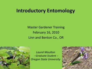Introductory Entomology Master Gardener Training February 16, 2010 Linn and Benton Co., OR Laurel Moulton   --Graduate Student --  Oregon State University 