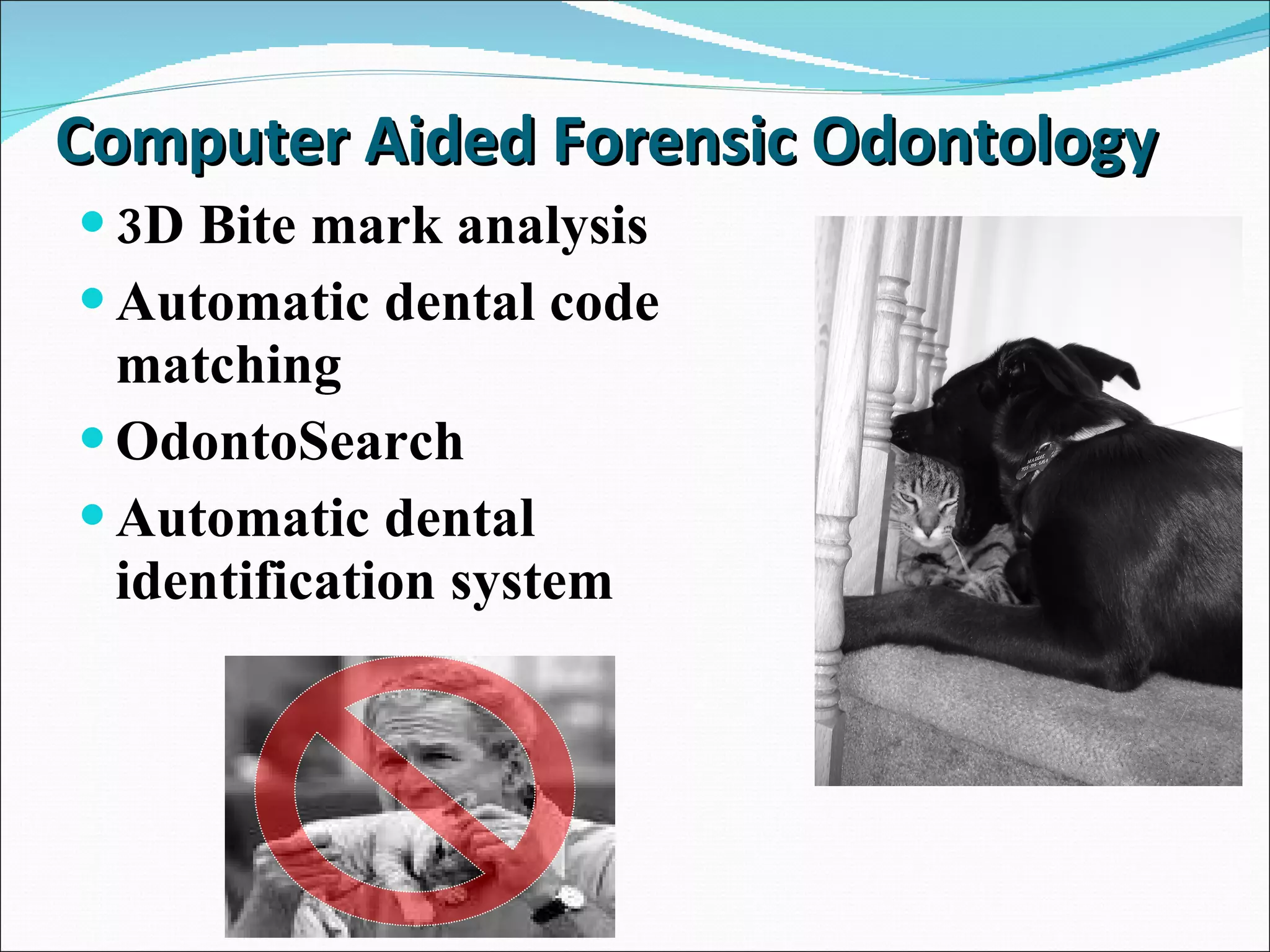 Computer Aided Forensic Odontology 3D Bite mark analysis Automatic dental code matching OdontoSearch Automatic dental identification system 