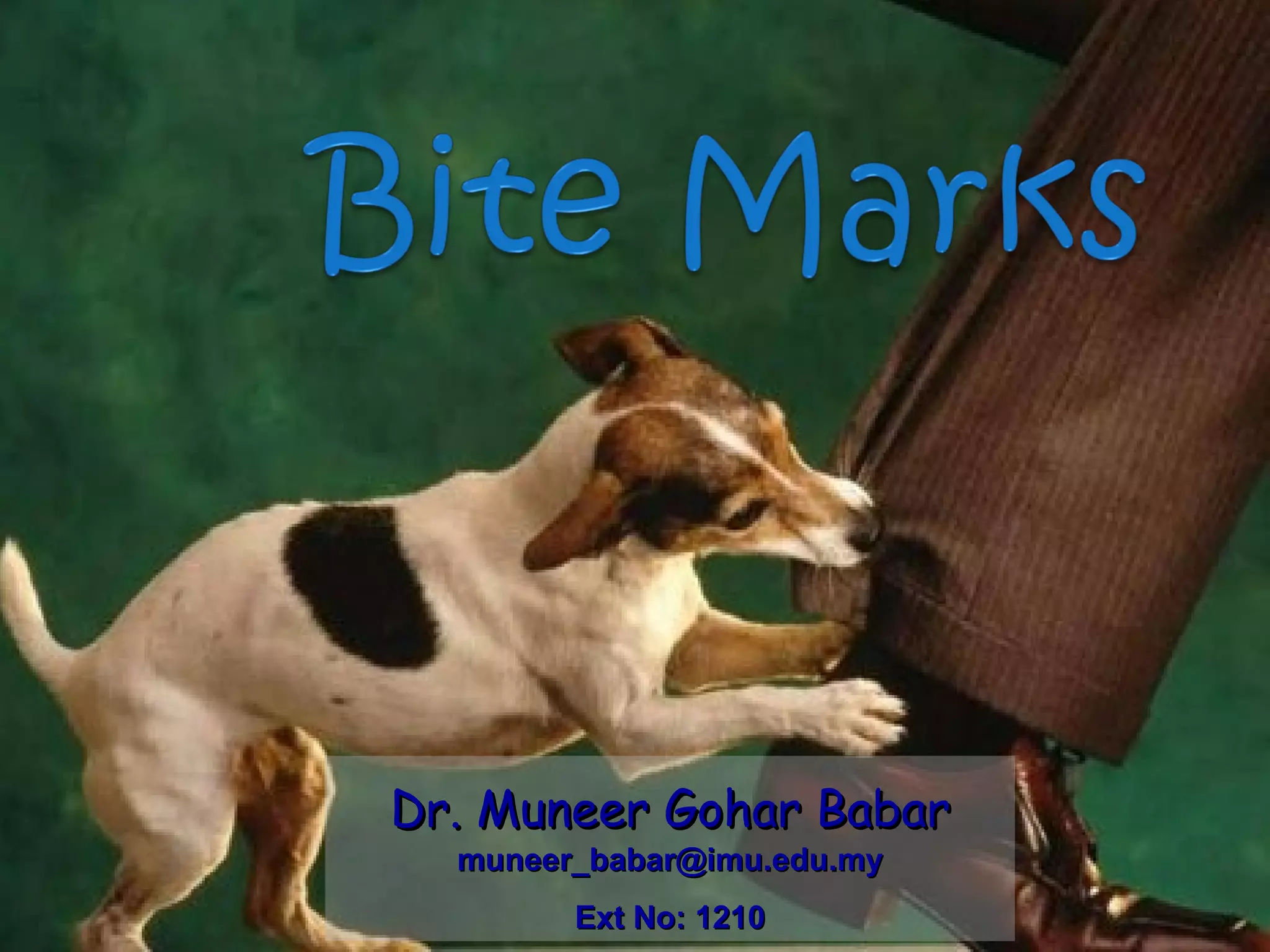 Dr. Muneer Gohar Babar   [email_address] Ext No: 1210 