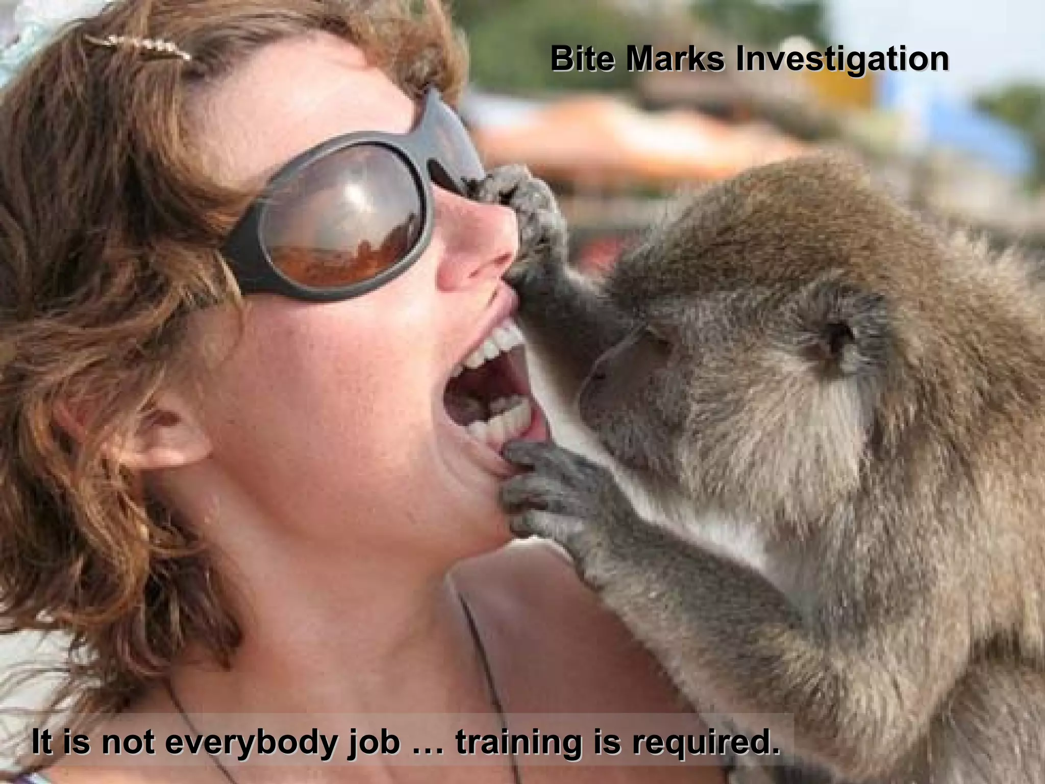 Bite Marks Investigation It is not everybody job … training is required. 
