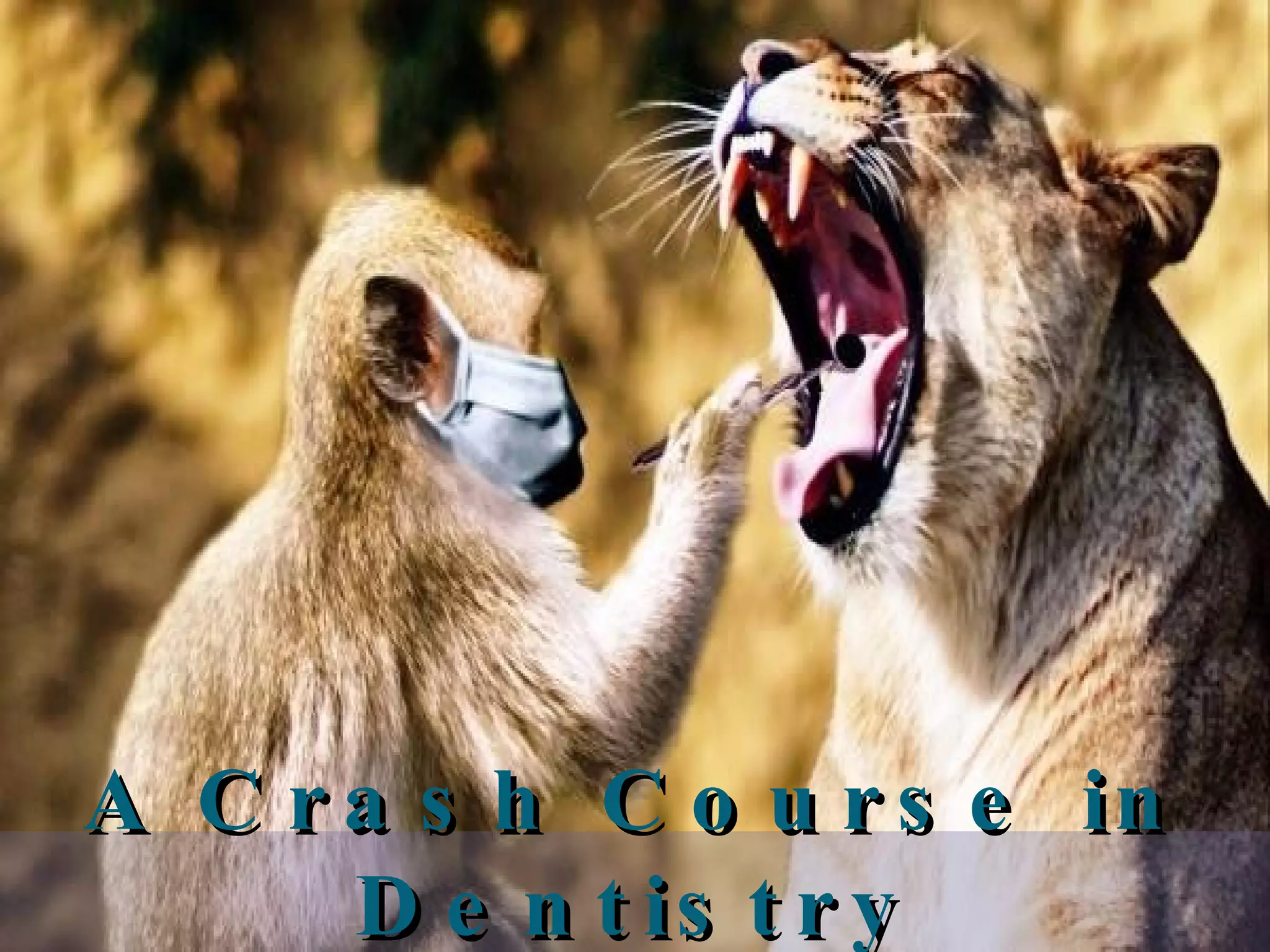 A Crash Course in Dentistry 
