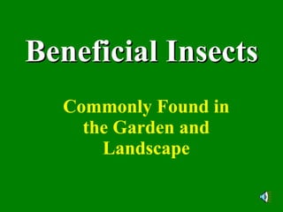 Beneficial Insects Commonly Found in the Garden and Landscape 