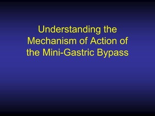 Understanding the
Mechanism of Action of
the Mini-Gastric Bypass
 