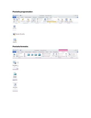 Pestaña programador:
Pestaña formato:
 