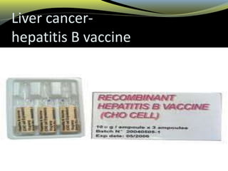 Liver cancer-
hepatitis B vaccine
 
