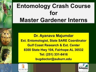 Entomology Crash Course for Master Gardener Interns Dr. Ayanava Majumdar Ext. Entomologist, State SARE Coordinator Gulf Coast Research & Ext. Center 8300 State Hwy 104, Fairhope AL 36532 Tel: (251) 331-8416 bugdoctor@auburn.edu 