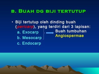 b. Buah dg biji tertutup
• Biji tertutup oleh dinding buah
( pericarp ), yang terdiri dari 3 lapisan:
Buah tumbuhan
a. Exocarp
Angiospermae
b. Mesocarp
c. Endocarp

 