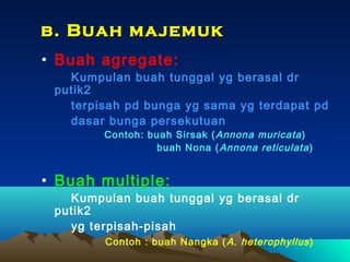 b. Buah majemuk
• Buah agregate:

Kumpulan buah tunggal yg berasal dr
putik2
terpisah pd bunga yg sama yg terdapat pd
dasar bunga persekutuan
Contoh: buah Sirsak ( Annona muricata )
buah Nona ( Annona reticulata )

• Buah multiple:

Kumpulan buah tunggal yg berasal dr
putik2
yg terpisah-pisah
Contoh : buah Nangka ( A. heterophyllus )

 