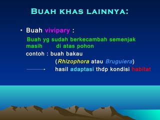 Buah khas lainnya:
• Buah vivipary :
Buah yg sudah berkecambah semenjak
masih
di atas pohon
contoh : buah bakau
( Rhizophora atau Bruguiera )
hasil adaptasi thdp kondisi habitat

 