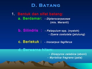 D. Batang
1. Bentuk dan sifat batang:
a. Berdamar: - Dipterocarpaceae
(mis. Meranti)

b. Silindris :

- Palaquium spp. (nyatoh)
- Dyera costulata (jelutung)

c. Berlekuk :

- Inocarpus fagiferus

d. Berwarna hitam:

- Diospyros celebica (eboni)

- Myristica fragrans (pala)

 