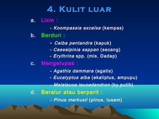 4. Kulit luar
a.

Licin :
- Koompassia excelsa (kempas)

b.

Berduri :
- Ceiba pentandra (kapuk)
- Caesalpinia sappan (secang)
- Erythrina spp. (mis. Dadap)

c.

Mengelupas :
- Agathis dammara (agatis)
- Eucalyptus alba (ekaliptus, ampupu)
- Melaleuca leucadendron (ky.putih)

d.

Beralur atau berparit :
- Pinus merkusii (pinus, tusam)

 