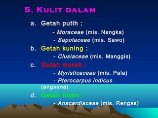 5. Kulit dalam
a. Getah putih :
- Moraceae (mis. Nangka)
- Sapotaceae (mis. Sawo)

b. Getah kuning :
- Clusiaceae (mis. Manggis)

c. Getah merah :
- Myristicaceae (mis. Pala)
- Pterocarpus indicus
(angsana)

d. Getah hitam :
- Anacardiaceae (mis. Rengas)

 