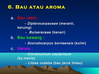 6. Bau atau aroma
a. Bau resin :
- Dipterocarpaceae (meranti,
keruing)
- Burseraceae (kenari)

b. Bau bawang :
- Scorodocarpus borneensis (kulim)

c. Harum :
- Cinnamomum zeylanicum
(ky.manis)
- Litsea cubeba (bau jeruk limau)

 