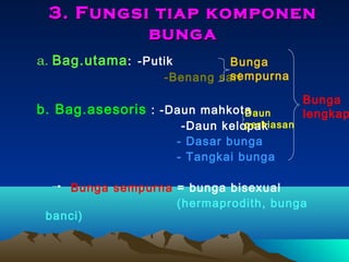 3. Fungsi tiap komponen
bunga
a. Bag.utama : -Putik

Bunga
sempurna
-Benang sari

b. Bag.asesoris : -Daun mahkota
Daun

perhiasan
-Daun kelopak
- Dasar bunga
- Tangkai bunga

Bunga
lengkap

Bunga sempurna = bunga bisexual
(hermaprodith, bunga
banci)

 