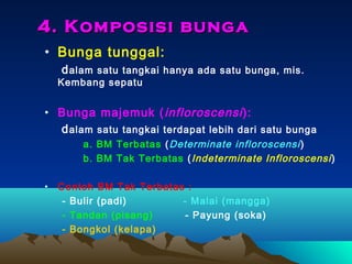 4. Komposisi bunga
• Bunga tunggal:
d alam satu tangkai hanya ada satu bunga, mis.

Kembang sepatu

• Bunga majemuk ( infloroscensi ):
d alam satu tangkai terdapat lebih dari satu bunga
a. BM Terbatas ( Determinate infloroscensi )
b. BM Tak Terbatas ( Indeterminate Infloroscensi )
•

Contoh BM Tak Terbatas :
- Bulir (padi)
- Malai (mangga)
- Tandan (pisang)
- Payung (soka)
- Bongkol (kelapa)

 