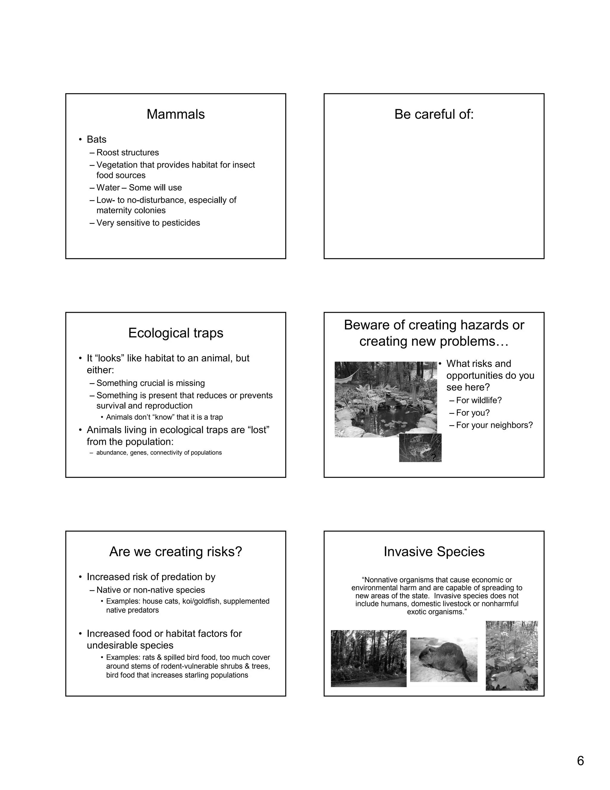 Mammals                                            Be careful of:
• Bats
  – Roost structures
  – Vegetation that provides habitat for insect
    food sources
  – Water – Some will use
  – Low- to no-disturbance, especially of
    maternity colonies
  – Very sensitive to pesticides




                                                            Beware of creating hazards or
               Ecological traps
                                                              creating new problems…
• It “looks” like habitat to an animal, but
                                                                                        • What risks and
  either:
                                                                                          opportunities do you
  – Something crucial is missing
                                                                                          see here?
  – Something is present that reduces or prevents
                                                                                          – For wildlife?
    survival and reproduction
     • Animals don’t “know” that it is a trap
                                                                                          – For you?
                                                                                          – For your neighbors?
• Animals living in ecological traps are “lost”
  from the population:
  – abundance, genes, connectivity of populations
                                                                                    ?




         Are we creating risks?                                       Invasive Species
• Increased risk of predation by                                “Nonnative organisms that cause economic or
  – Native or non-native species                             environmental harm and are capable of spreading to
                                                              new areas of the state. Invasive species does not
     • Examples: house cats, koi/goldfish, supplemented       include humans, domestic livestock or nonharmful
       native predators                                                      exotic organisms.”


• Increased food or habitat factors for
  undesirable species
     • Examples: rats & spilled bird food, too much cover
       around stems of rodent-vulnerable shrubs & trees,
       bird food that increases starling populations




                                                                                                                  6
 